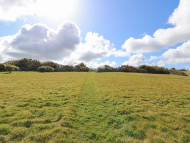 A grassy field with a narrow green path leading to a wooden gate and bushes under a blue sky with clouds at Mynheer Farm Barn Nr Portreath