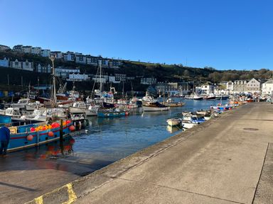 A harbor with boats docked along the water and houses on a hill in the background at Glanville House in Mevagissey