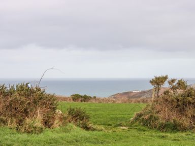 A grassy field with bushes and a view of the sea and a distant white building at Gurnard's Cottage in St Ives