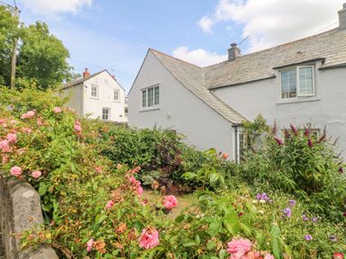 A garden with pink flowers and green plants in front of a white house with slate roof at Parwin in Tintagel