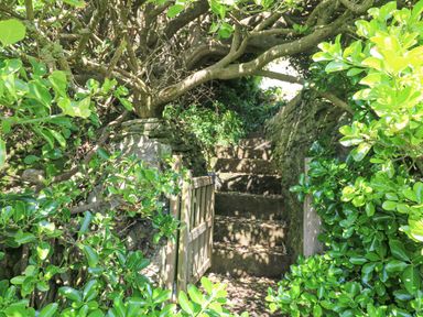 A stone staircase with a wooden gate surrounded by green bushes and trees at St Ives View in Porthtowan