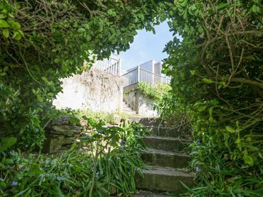 Stone steps surrounded by green plants leading up to a wooden deck and white wall at St Ives View in Porthtowan