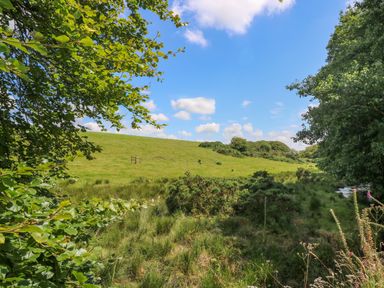 A grassy field with bushes and trees under a blue sky at Oaklands Near Boscastle
