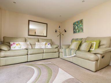 A living room with two sofas cushions a rug a floor lamp and a mirror on the wall at Riverview in Lostwithiel