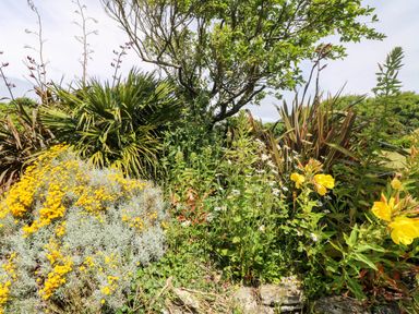 A garden with various flowers and plants at Seaport Lodge Mawgan Porth