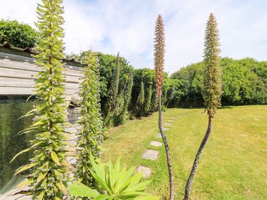A garden with plants and a pathway at Seaport Lodge Mawgan Porth