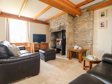 A living room with leather sofas a stone fireplace a television and wooden furniture at Boslow in St Just