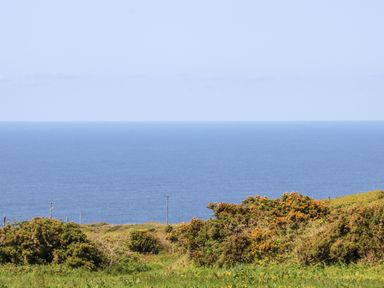 A coastal landscape with green bushes and grassy field overlooking the sea at Boslow in St Just