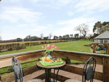 A small round table with a breakfast tray and flowers on a balcony overlooking a grassy field and trees at Higher Kernick Stable Helland near Blisland