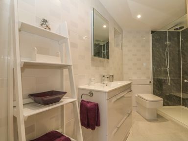 A bathroom with a white vanity unit a mirror a ladder shelf and a walk in shower at Higher Kernick Stable in Helland near Blisland