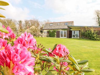A garden with pink flowers and a house with a sloped roof in the background at Higher Kernick Stable Helland near Blisland