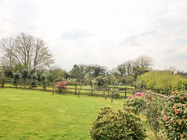 A garden with bushes and flowers bordered by a wooden fence and trees at Higher Kernick Stable in Helland near Blisland