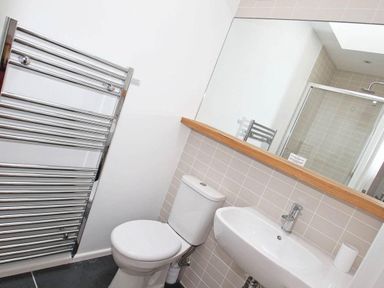 A bathroom with a toilet sink mirror and towel radiator at The Old Dairy in Padstow
