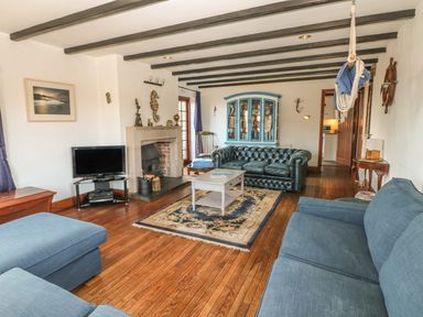 A living room with blue sofas a fireplace TV a coffee table and a blue cabinet at Mengarth in Cadgwith