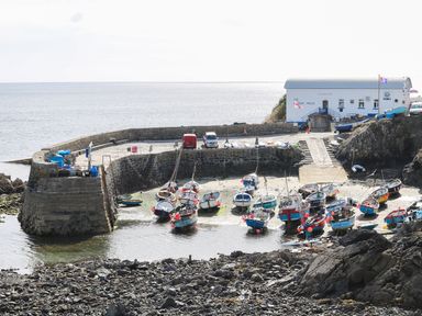 A small harbor with boats moored and a white building labeled The Lifeboat House at Gannet Watch in Coverack