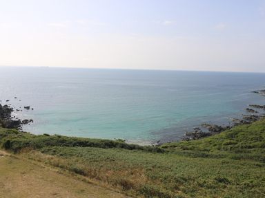 A coastal view with green vegetation on cliffs and a calm sea with a ship on the horizon at Gannet Watch in Coverack