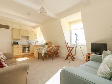A living room and kitchen area with sofas a dining table and chairs a telescope a television and kitchen appliances at Gannet Watch in Coverack