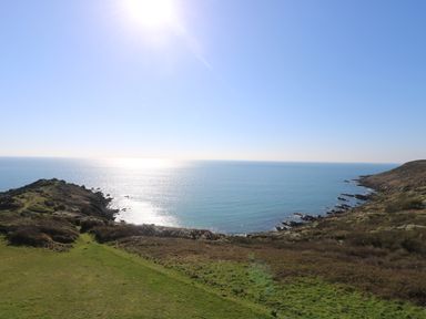 A coastal landscape with grass, shrubs, rocky shorelines, and ocean under a clear sky at Gannet Watch in Coverack