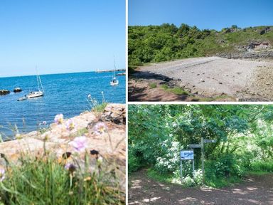 A coastal scene with boats on blue water a pebbled beach with greenery on a hillside and a forested path with directional signs and an information board at Bayview in Brixham