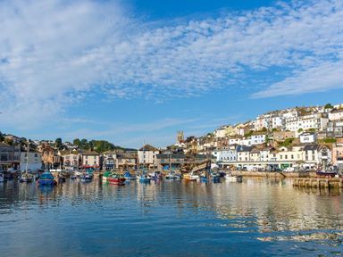 A harbor with boats and a town on a hillside under a blue sky at Bayview in Brixham