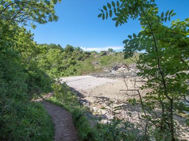A coastal path with trees and shrubs next to a rocky beach at Bayview in Brixham