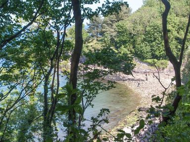 A wooded area overlooking a rocky shoreline and water at Bayview in Brixham