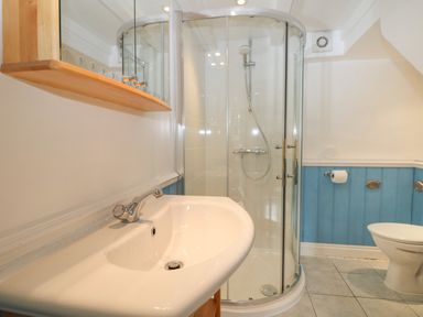 A bathroom with a corner shower enclosure a white sink and a toilet with blue wall paneling at Trehan in St Ives