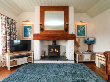 A room with a fireplace a wood stove a television a blue rug and cabinets at Trehan in St Ives