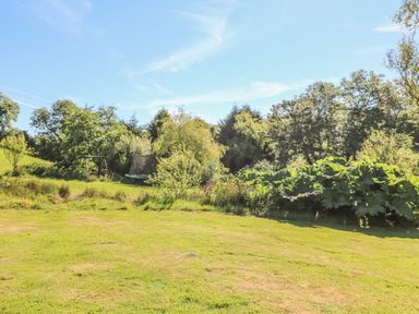 A grassy garden area with trees and a trampoline surrounded by plants at Pond Cabin in Stithians