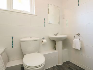 A bathroom with a toilet sink mirror and towel ring at Valley Lodge 58 in Callington