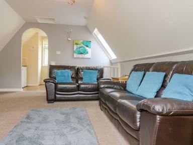 A living room with two brown leather sofas with blue cushions and a gray rug at Valley Lodge 5 in Callington
