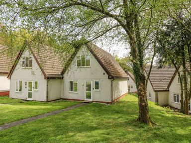 Two white houses with brown roofs surrounded by grass and trees at Valley Lodge 5 in Callington