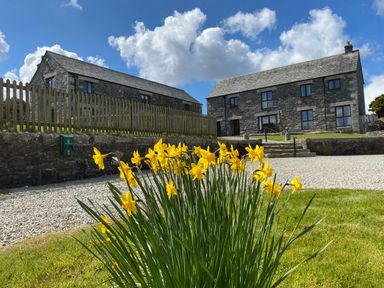 Yellow flowers with gravel driveway and two stone buildings under blue sky at Marhayes in Camelford
