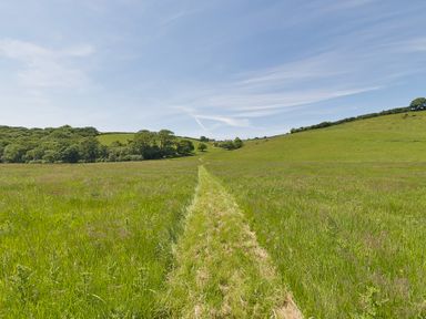 A grassy field with a narrow path leading towards hills and scattered trees at Marhayes in Camelford