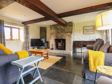 A living room with sofas coffee table wood stove and television at Marhayes in Camelford