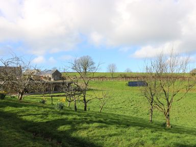 A grassy field with leafless trees and a building with solar panels in the background at Westhayes in Camelford
