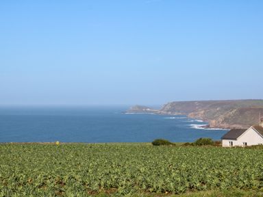 A field with crops by the sea with cliffs and a house at Kerensa ha-Kres in Sennen