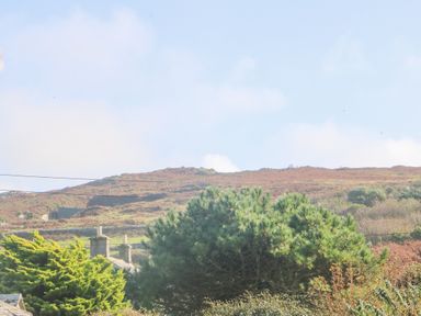 A hillside with vegetation and buildings partially visible behind trees at Bal View in St Just