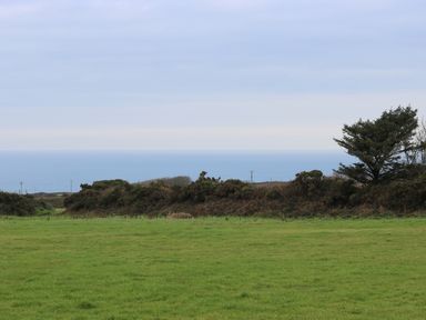 A green grassy field with bushes and a tree overlooking the sea at Bal View in St Just