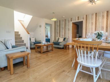 A living room and dining area with wooden floor wooden tables blue armchairs white chairs and a wooden dining table at Penhaven in Crackington Haven