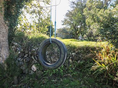 A tire swing hanging from a tree in a garden with grass and bushes at Penhaven in Crackington Haven