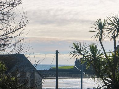 A coastal view with a building, leafless trees, palm trees, and the sea at Mackerel Sky in Marazion