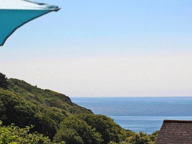 View of a forested hillside overlooking the ocean with a partial view of a blue umbrella and a rooftop at Porthcurno Bay View in Porthcurno