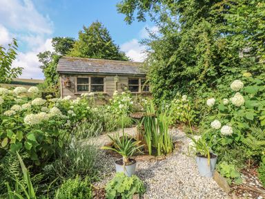 A garden with a small pond surrounded by plants and a wooden shed in the background at Stocks Barn in Looe