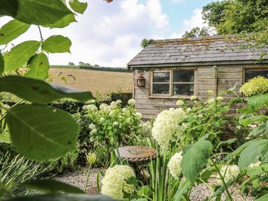 A garden with white flowers and a wooden shed with windows in the background at Stocks Barn in Looe