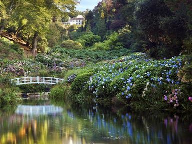 A garden with a white bridge over a pond and flowers at Halvosso in Falmouth