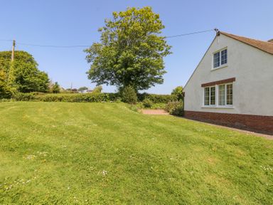 A grassy yard with a tree and a white house with brick trim at Charlesworth in Braunton