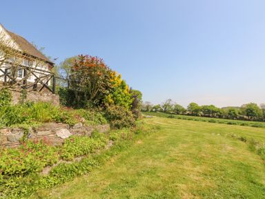 A garden with grass and plants next to a house with a wooden fence at Charlesworth in Braunton