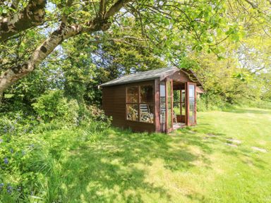 A wooden garden shed with glass doors and windows in a grassy area surrounded by trees and plants at Charlesworth in Braunton
