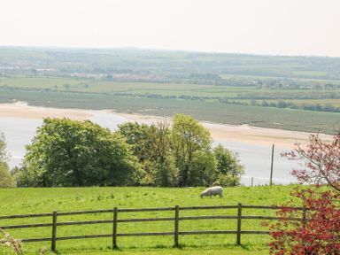 A green field with a sheep and trees near a body of water at Charlesworth in Braunton